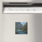 Hell's Canyon P5490 magneet (Insitu (Vaatwasser))