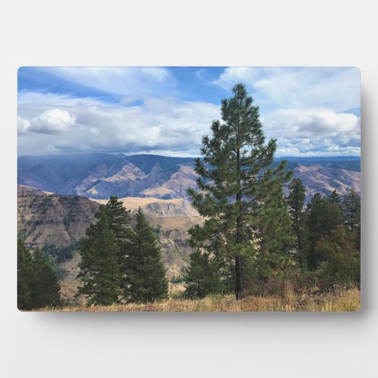 Hells Canyon Schilderachtig Byway, OF Fotoplaat (voorkant)