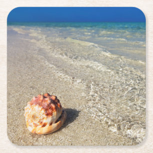 Helm Shell in Tropische lagune Cassis Rufa Vierkante Kartonnen Onderzetter