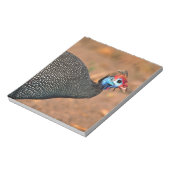 Helmeted Guinea Fowl (Numida meleagris). Afrika, Notitieblok (Gedraaid)