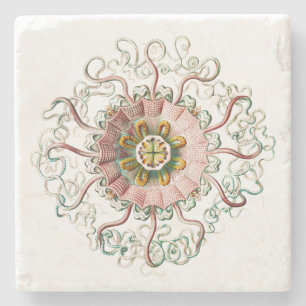 Helmkwal Stenen Onderzetter