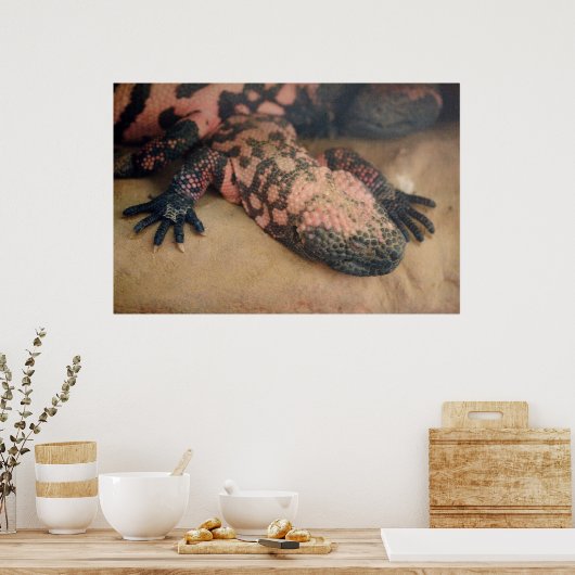 Heloderma Poster (Keuken)