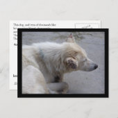 HELP DE DESPERATIEVEN IN NEPAL BRIEFKAART (Voorkant / Achterkant)