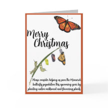 Help de Monarch vlinder te redden