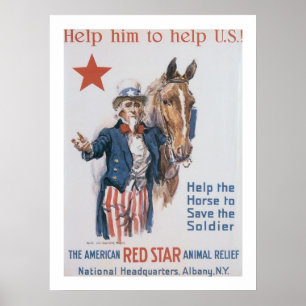 Help hem om de VS te helpen! Poster
