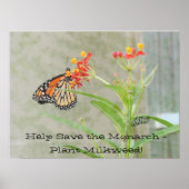 Help het Poster Monarch op te slaan (Voorkant)