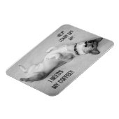 Help, ik kan geen magneet opstaan (Linkerzijde)