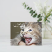 "Help me een muis!" Briefkaart (Staand voorkant)