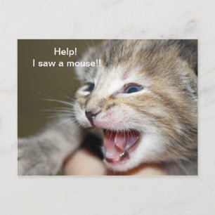 "Help me een muis!" Briefkaart
