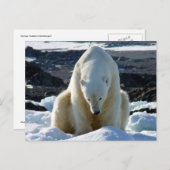 Help, my World is melting. Briefkaart (Voorkant / Achterkant)