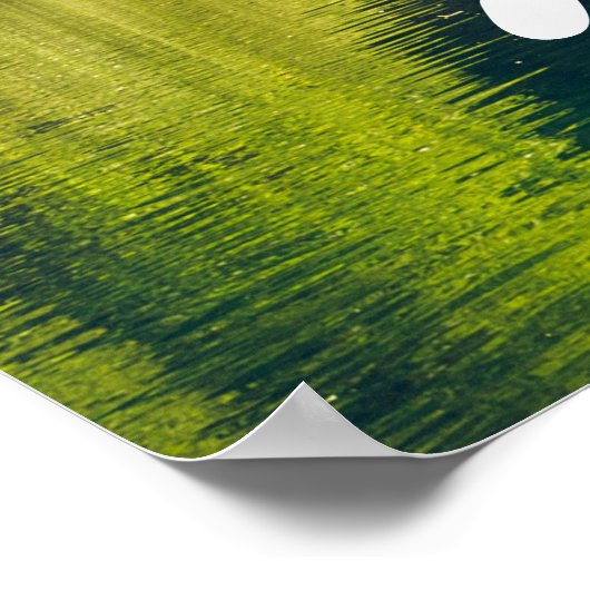 Help The Earth. Plant A Tree. | Save Trees Poster (Coin)