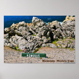 Hemanus Rocks, Westerne Kaap Poster