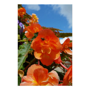 hemel , bloemen en bijen perfect poster