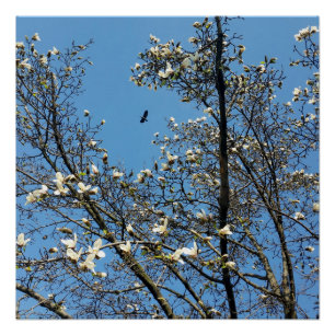 hemel in het voorjaar perfect poster