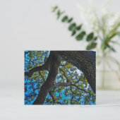 Hemelen het Briefkaart van de Boom van de Grens (Staand voorkant)