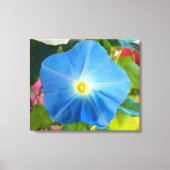 Hemels Blauw Morgen Glorie Canvas Art Afdruk (Voorkant)