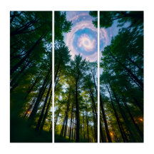 Hemels Bos