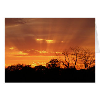 "hemelsbreed zonsondergang" door Larry Coressel
