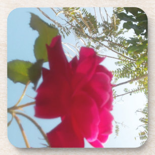 Hemelse Bloei: Een Roos tegen de Hemel Drankjes Onderzetter