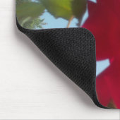 Hemelse Bloei: Een Roos tegen de Hemel Muismat (Hoek)