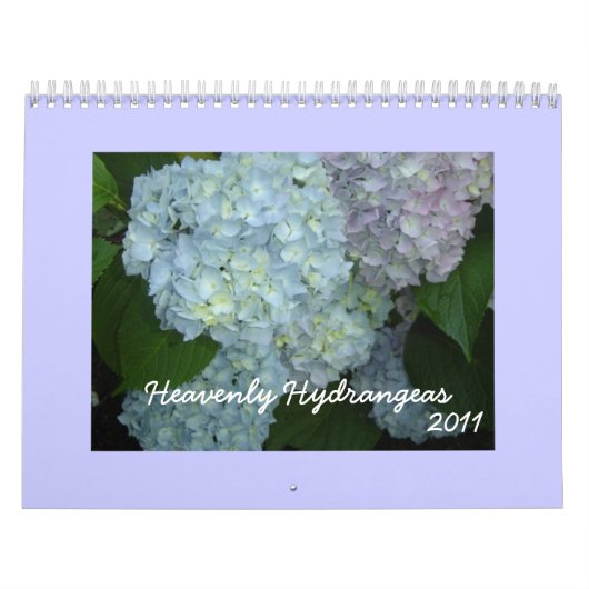 Hemelse Hortensia's - 2011 Kalender (Hoes)