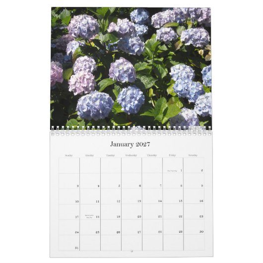 Hemelse Hortensia's 2013 Kalender (Jan 2027)