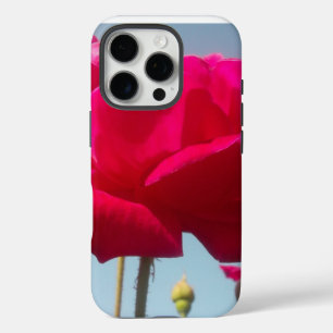 Hemelse Roos Mooie Rode Bloem Tegen Blauw iPhone 16 Pro Hoesje