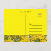 Hemerocallis - Briefkaart "Citrina" (Achterkant)
