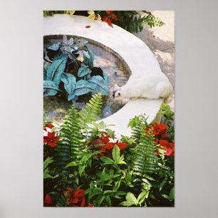 Hemingway cat 1 fontein Drink - Poster en afdrukke