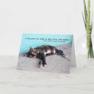 HEMINGWAY CAT WENSKAART BEDANKKAART