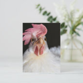 Hen Briefkaart (Staand voorkant)