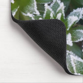 Hen & Chicken succulent met frost in het begin Muismat (Hoek)