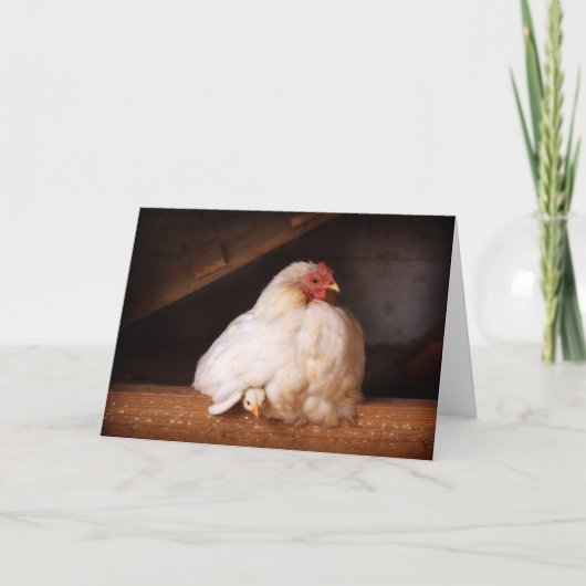 hen&druppel kaart (Voorkant)