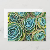 Hen en Chicken Briefkaart (Voorkant / Achterkant)