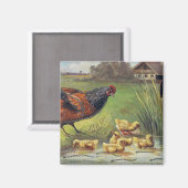 Hen en en Ducklings Magneet (Voorkant / Achterkant)