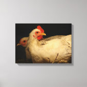 Hen en en Rooster Canvas Afdruk (Voorkant)