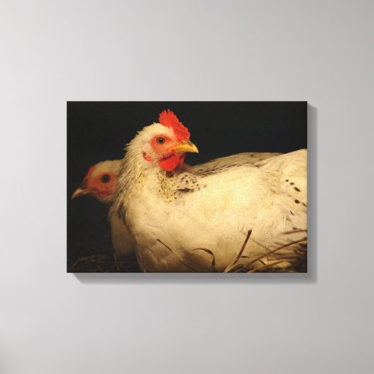 Hen en en Rooster Canvas Afdruk (Voorkant)