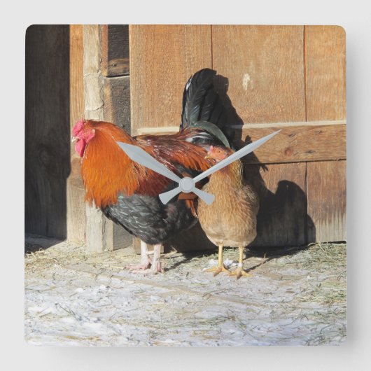 Hen en en Rooster Rustic Chicken Kitchen Clock Vierkante Klok (Voorkant)