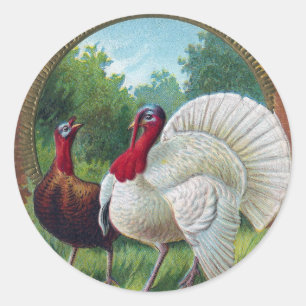 Hen en Tom Turkije  Thanksgiving Ronde Sticker