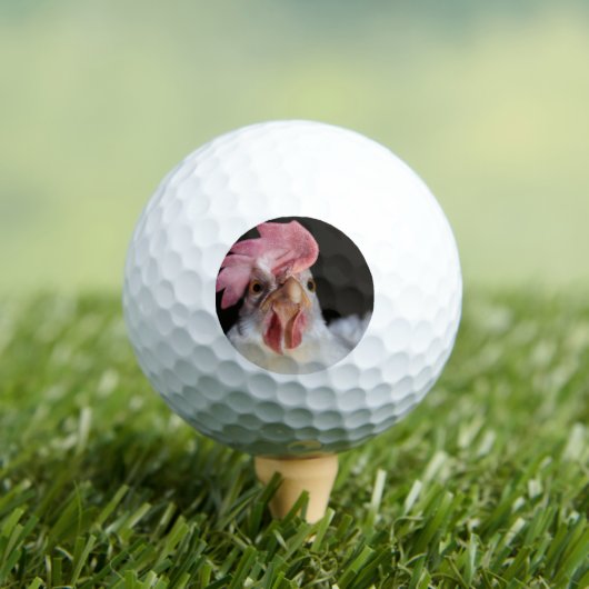 Hen Golfballen (Insitu Shirt)