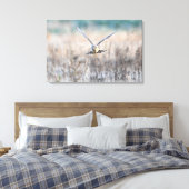 HEN harrier Canvas Afdruk (Insitu (Slaapkamer))