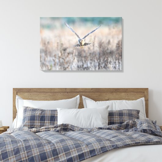 HEN harrier Canvas Afdruk (Insitu (Slaapkamer))