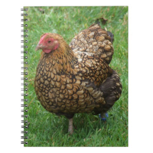 Hen Notitieboek