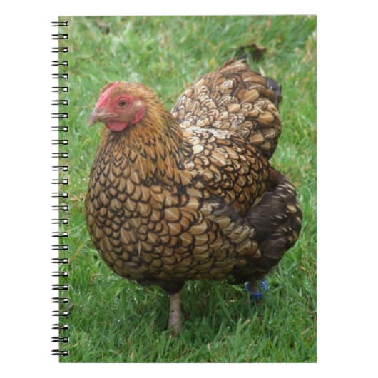 Hen Notitieboek (Voorkant)