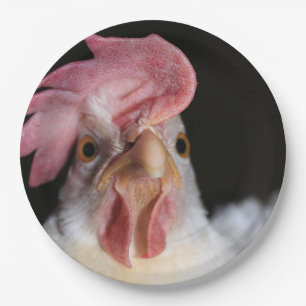 Hen Papieren Bordje