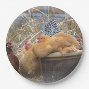 Hen Party Paper-Bord Papieren Bordje