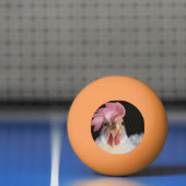 Hen Pingpongballen (Net)