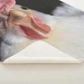 Hen Sherpa Deken (3/4)