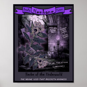 HENBANE WITCH'S HERB POSTER