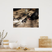 Henen en Baby Poster (Keuken)